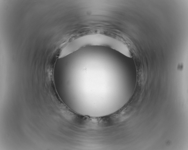 X0000089950329200707201931