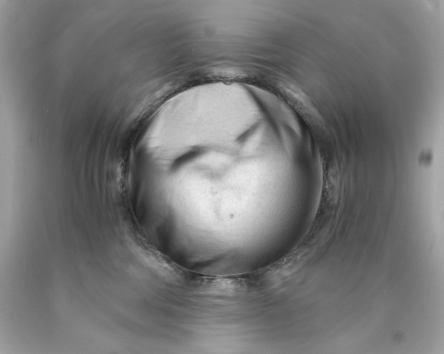 X0000089950330200707201931