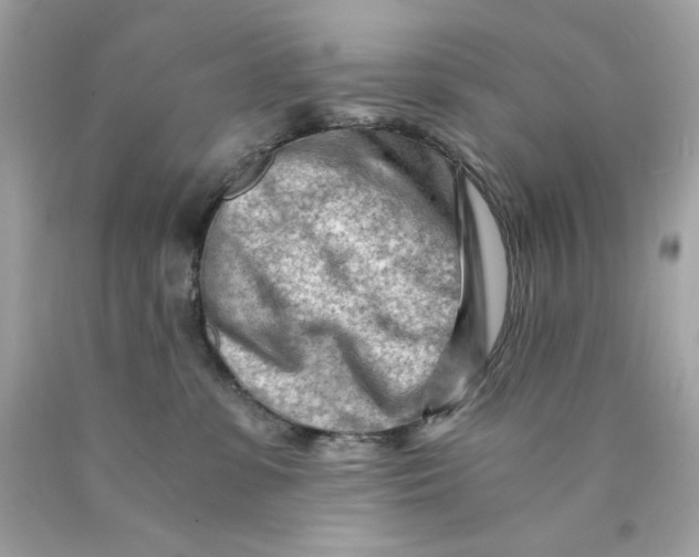 X0000089950331200707201931