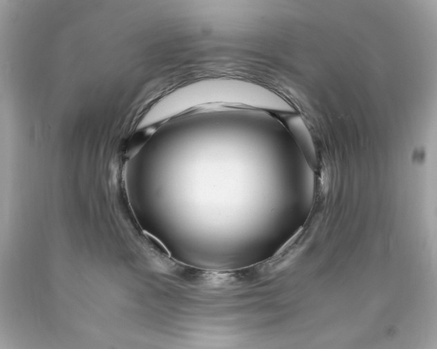 X0000089950333200707201931