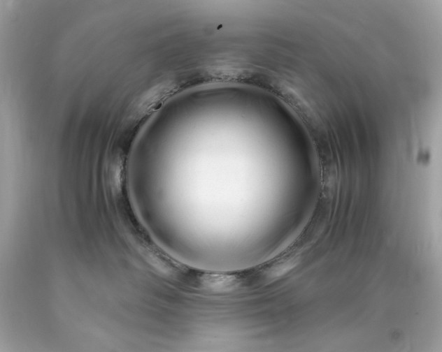 X0000089950334200707201931