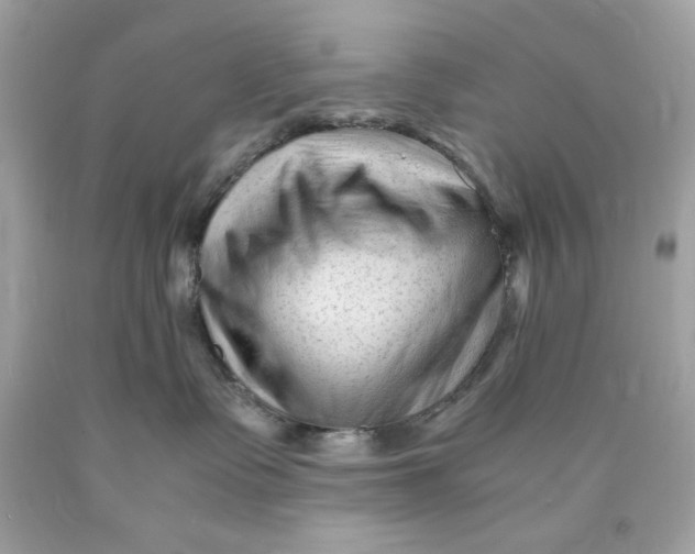 X0000089950335200707201931