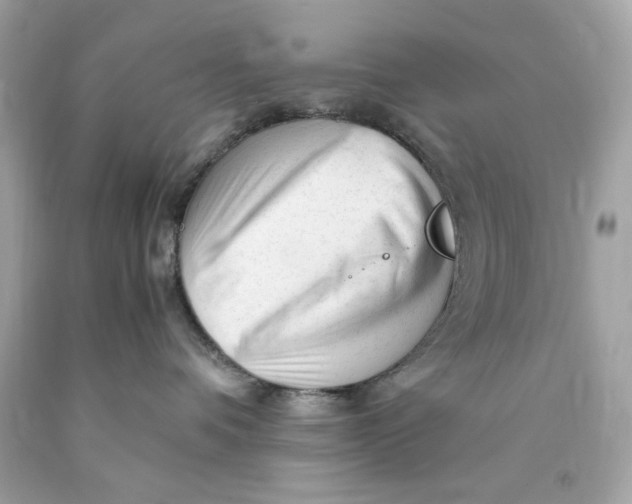 X0000089950336200707201931