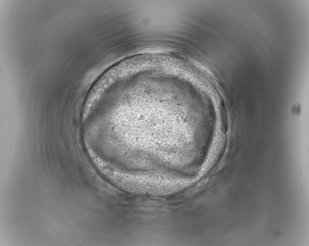 X0000089950337200707201930