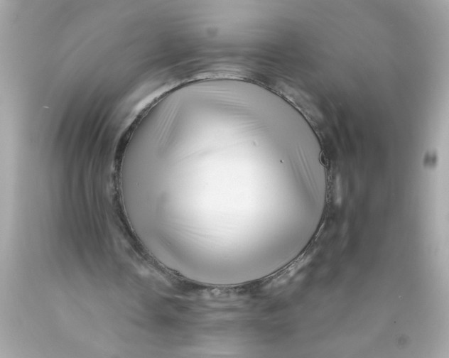 X0000089950338200707201930