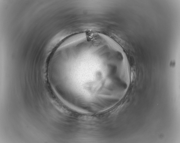 X0000089950339200707201930