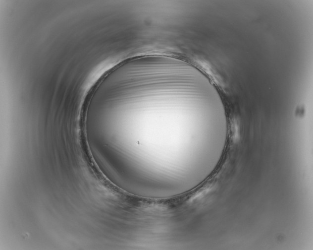 X0000089950340200707201930