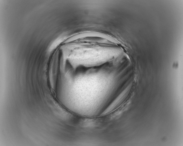 X0000089950341200707201930