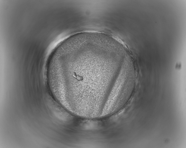 X0000089950343200707201930