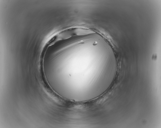 X0000089950344200707201930