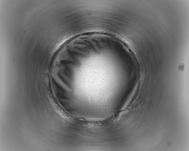 X0000089950345200707201930