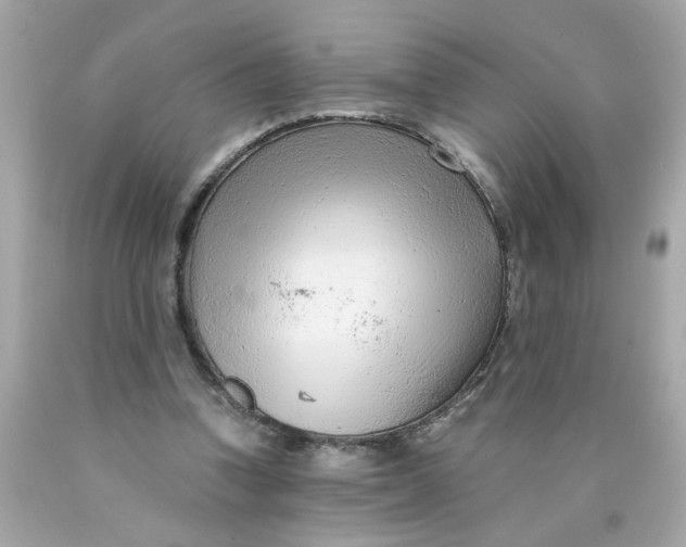 X0000089950346200707201930