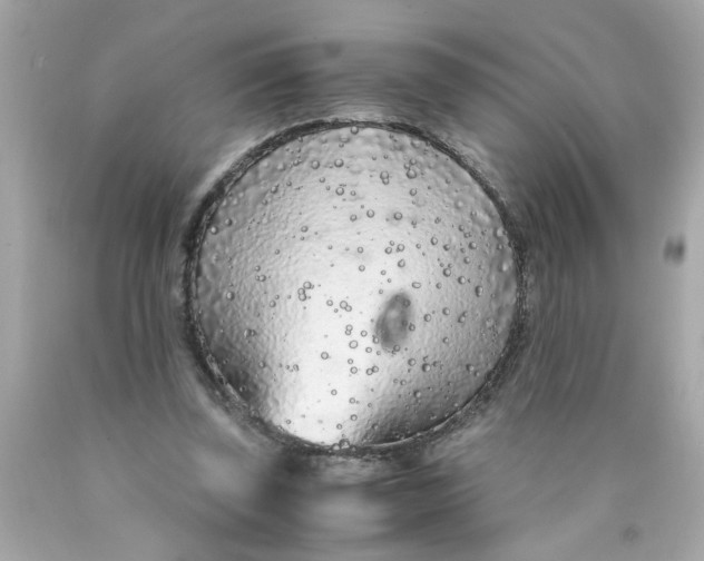 X0000089950347200707201930