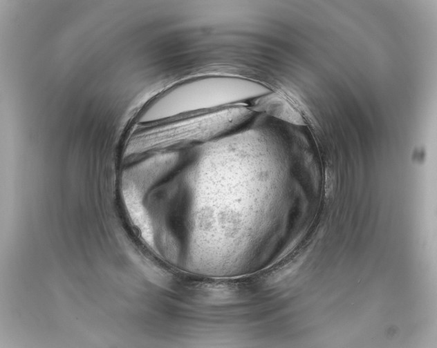 X0000089950349200707201930