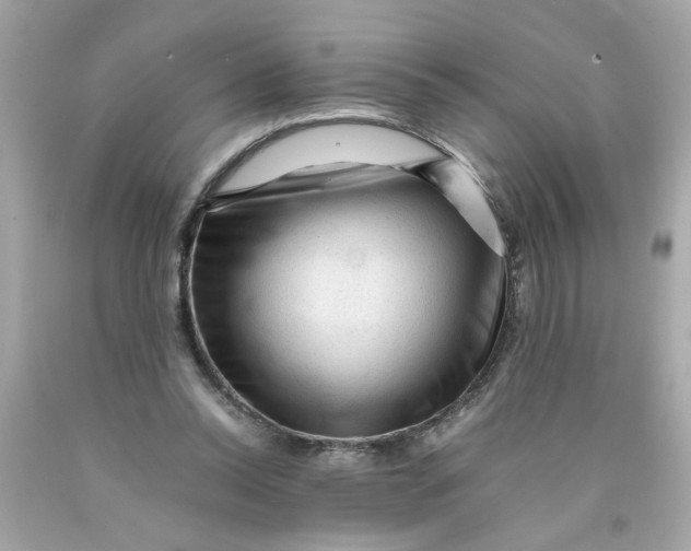 X0000089950350200707201930