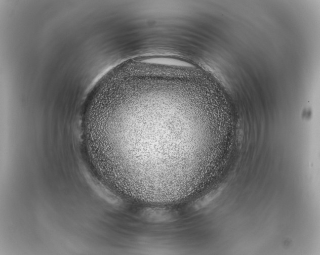 X0000089950351200707201930