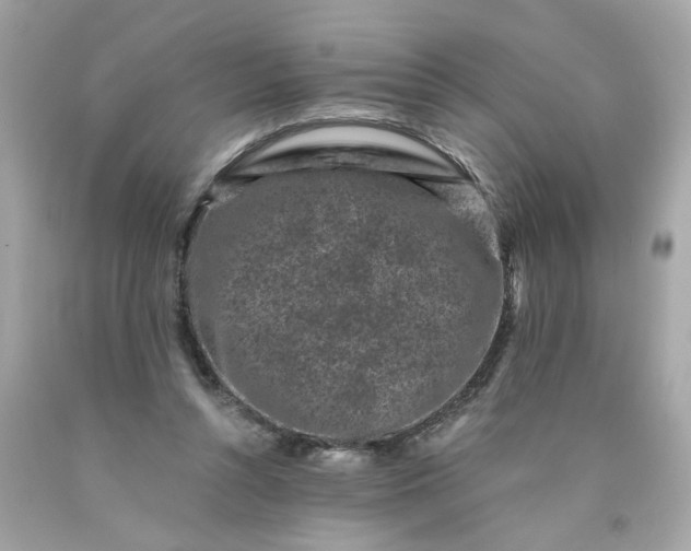 X0000089950352200707201930