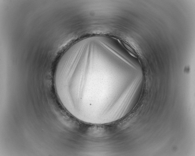 X0000089950354200707201930