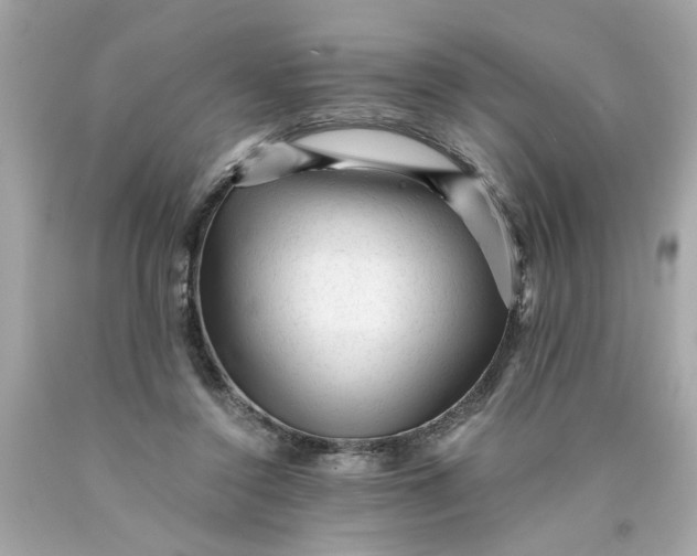 X0000089950356200707201930