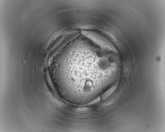 X0000089950357200707201930