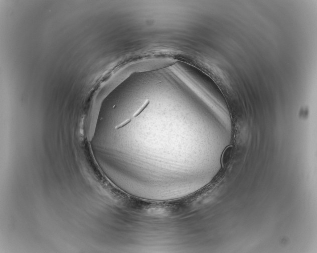 X0000089950358200707201930