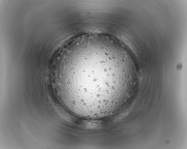 X0000089950359200707201930