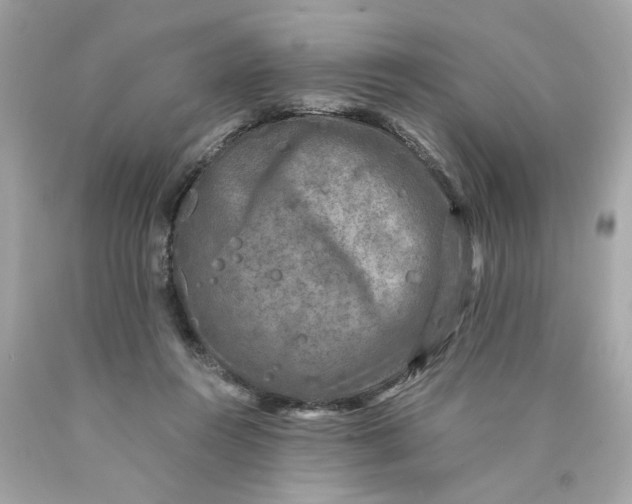 X0000089950360200707201930