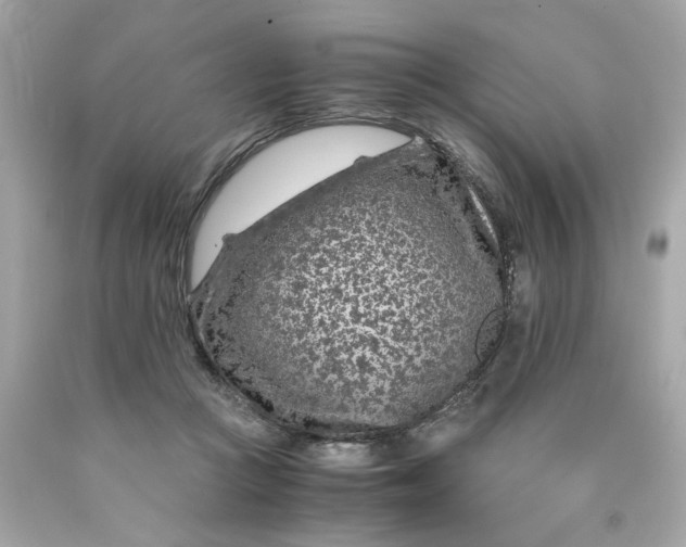 X0000089950361200707201930