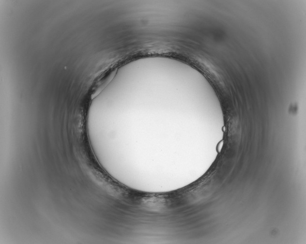 X0000089950362200707201930