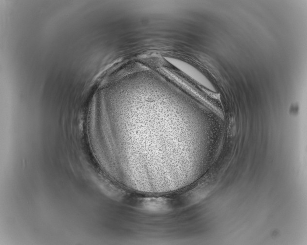 X0000089950363200707201930