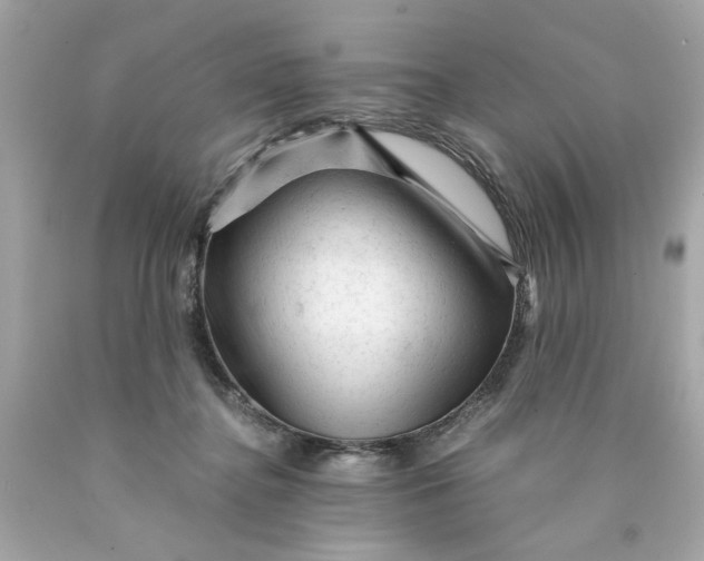 X0000089950364200707201930