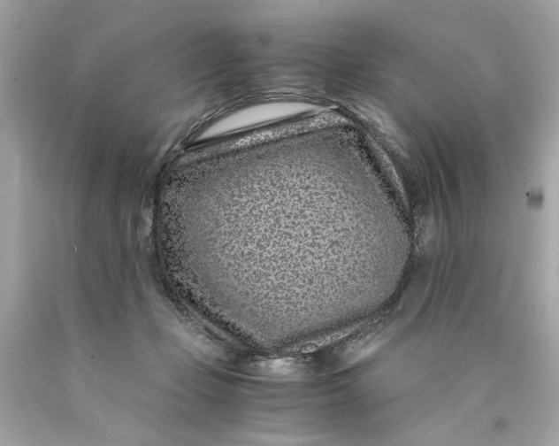 X0000089950365200707201930