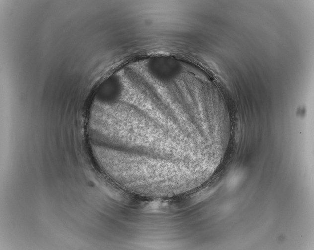 X0000089950366200707201931