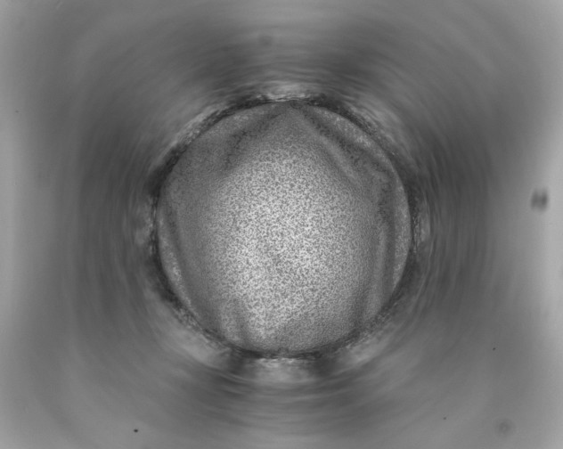 X0000089950367200707201931