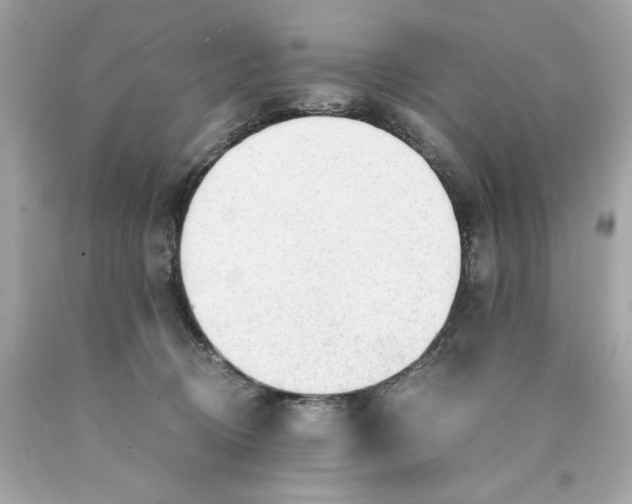 X0000089950370200707201931