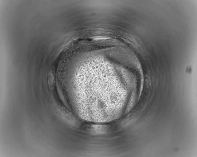 X0000089950371200707201931