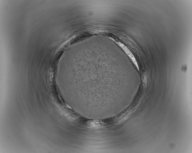 X0000089950372200707201931