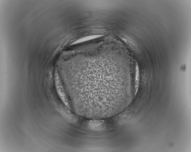 X0000089950373200707201931