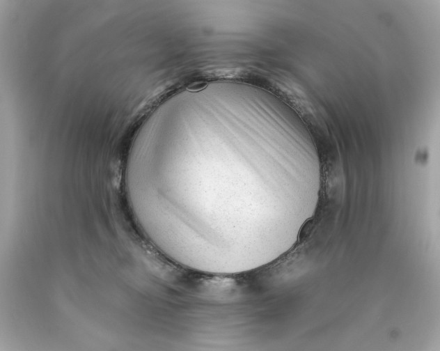 X0000089950374200707201931