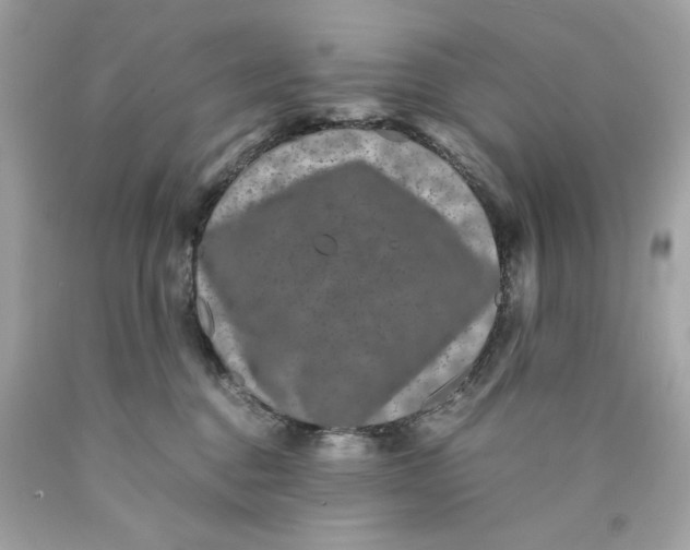 X0000089950376200707201931