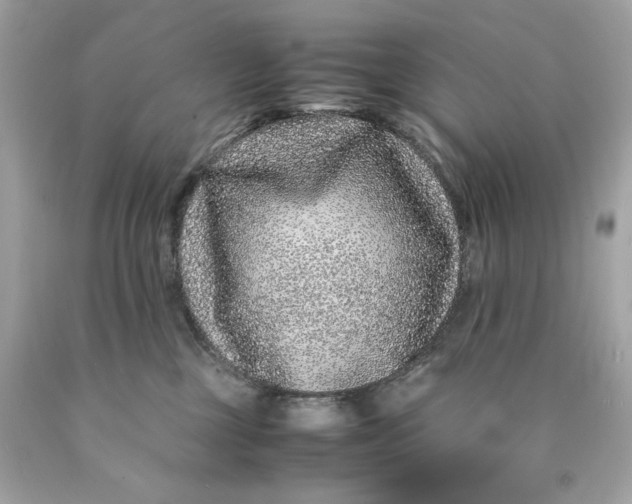 X0000089950377200707201931