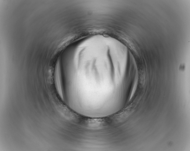 X0000089950378200707201931