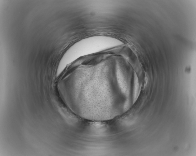 X0000089950380200707201931