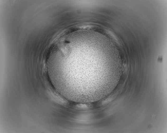 X0000089950381200707201931