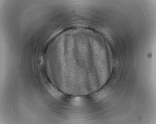 X0000089950382200707201931