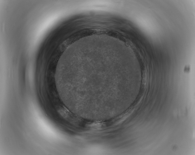 X0000089950383200707201931