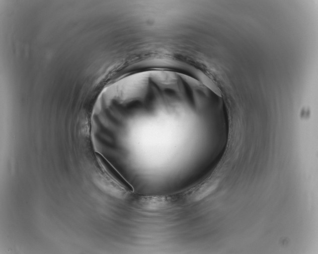 X0000089950384200707201931