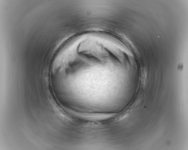 X0000089950386200707201930