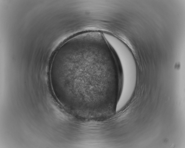 X0000089950387200707201930