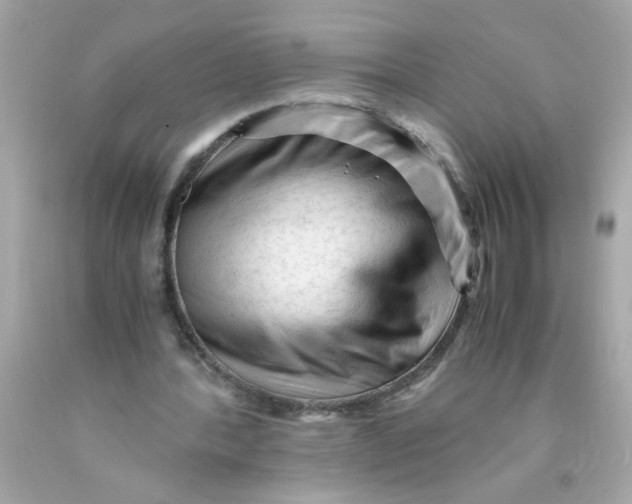 X0000089950388200707201930